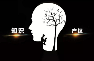 全面啟動知識產權建設 深度挖掘專利發(fā)明技術