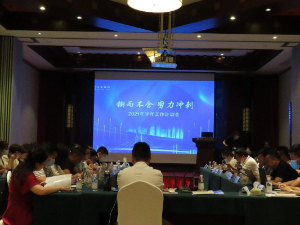 公司召開2021年半年工作計(jì)劃會(huì)